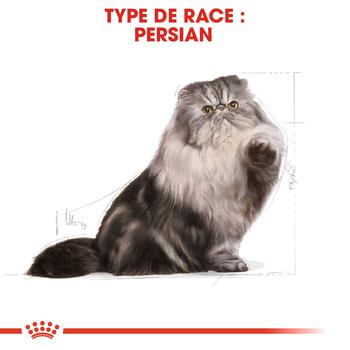 Visuel 2 du produit Croquettes Chat – Royal Canin Persan Adulte – 4 kg