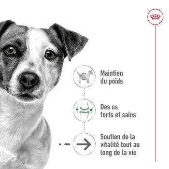 Visuel 2 du produit Croquettes Chien – Royal Canin Mini Ageing 12+ - 1,5 kg