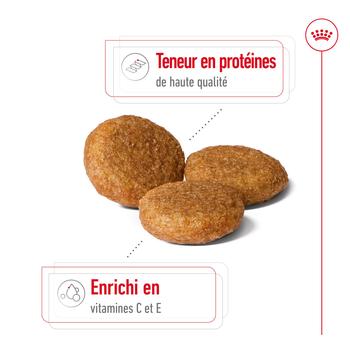 Visuel 2 du produit Royal Canin Croquettes Chien Medium Adult À Partir De 12 Mois - 12 kg