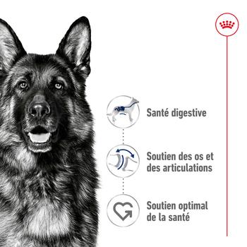Visuel 2 du produit Royal Canin Croquettes Chien Maxi Adult À Partir De 15 Mois - 3 kg