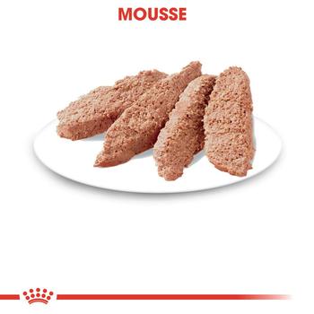 Visuel 2 du produit Royal Canin Chat Sachet Mousse Sterilised – 12 x 85 g