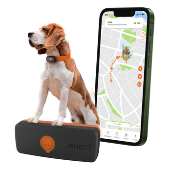 Visuel 2 du produit Sécurité Chien - Weenect GPS noir XS – 60 X 23 X 12 mm