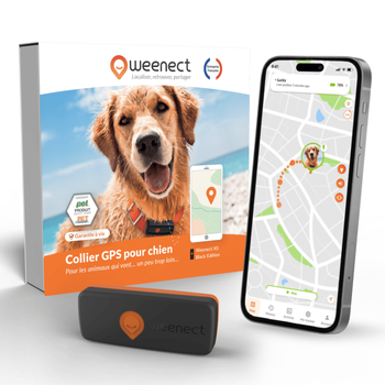 Visuel 1 du produit Sécurité Chien - Weenect GPS noir XS – 60 X 23 X 12 mm