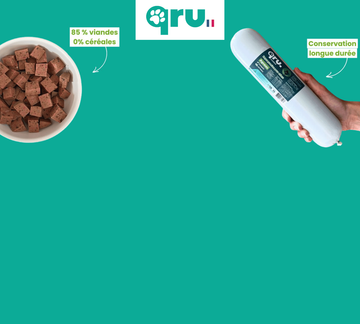 Visuel BARF QRU 5+1 - En ce moment