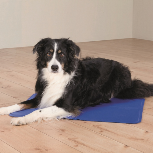 Visuel 2 du produit Couchage Chien - Trixie Tapis rafraîchissant Bleu - 40 x 50 cm