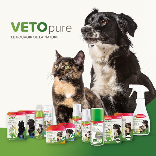 Visuel 5 du produit Soin Chien - Beaphar Pipette antiparasitaire Vetopure chien moyen  - 3 x 2 ml