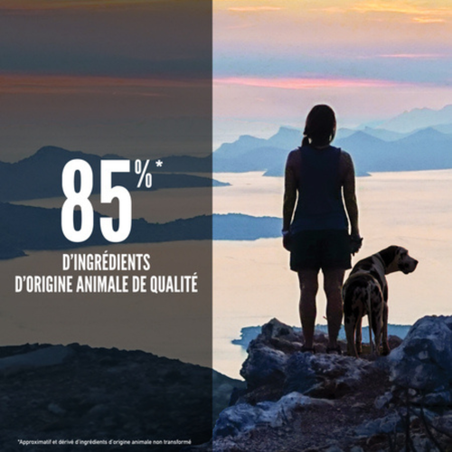 Visuel 3 du produit Croquettes Chien Sans Céréales - Orijen adult Six fish 2kg