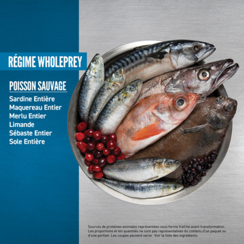 Visuel 5 du produit Croquettes Chien Sans Céréales - Orijen adult Six fish 2kg