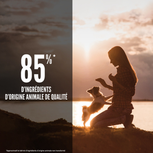 Visuel 3 du produit Croquettes Chien Sans Céréales – Orijen Small Breed – 1,8 kg