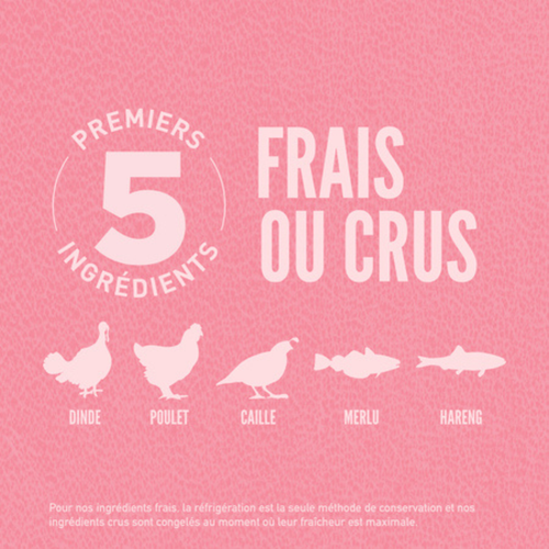 Visuel 4 du produit Croquettes Chien Sans Céréales – Orijen Small Breed – 1,8 kg