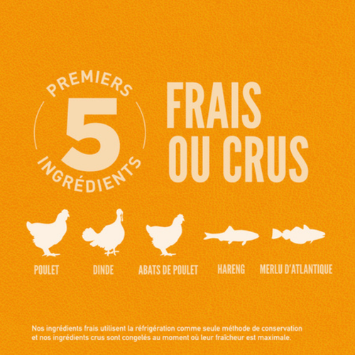 Visuel 4 du produit Croquettes Chiot Sans Céréales - Orijen puppy 11,4kg