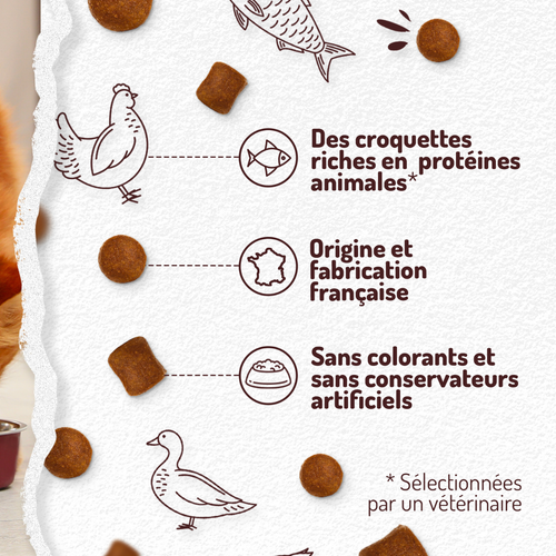 Visuel 4 du produit Croquettes Chien – VivaCroc Light Poulet – 3 kg