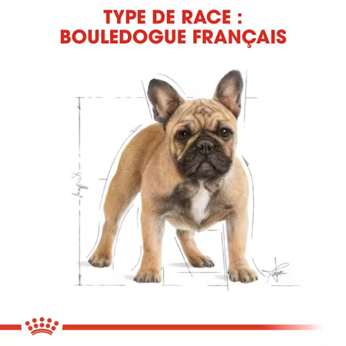 Visuel 4 du produit Croquettes Chien - Royal Canin Bouledogue Français Adulte - 3 kg