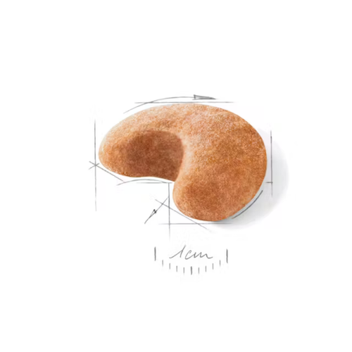 Visuel 3 du produit Croquettes Chien - Royal Canin Bouledogue Français Adulte - 3 kg