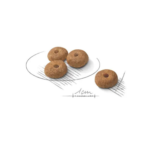 Visuel 3 du produit Croquettes Chien - Royal Canin Mini Sterilised - 8 kg