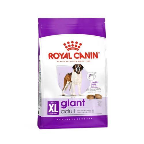 Visuel 1 du produit Croquettes Chien – Royal Canin Giant Adulte – 15 kg