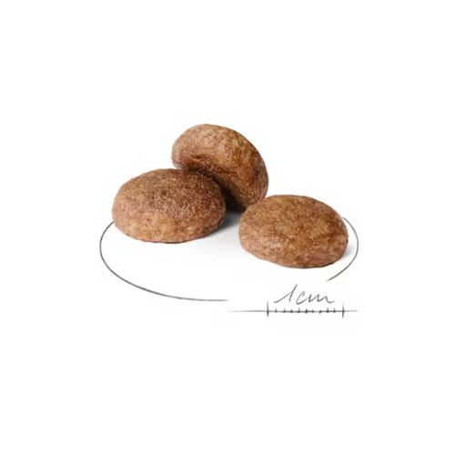 Visuel 2 du produit Croquettes Chien – Royal Canin Medium Mature – 4 kg