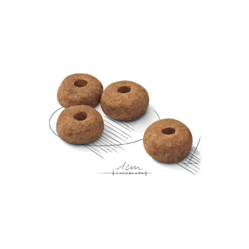 Visuel 3 du produit Croquettes Chien – Royal Canin Medium Sterilised – 12 kg