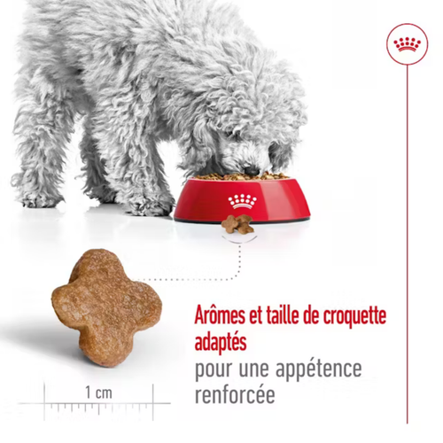 Visuel 3 du produit Croquettes Chien – Royal Canin Mini Adulte 8+ - 2 kg
