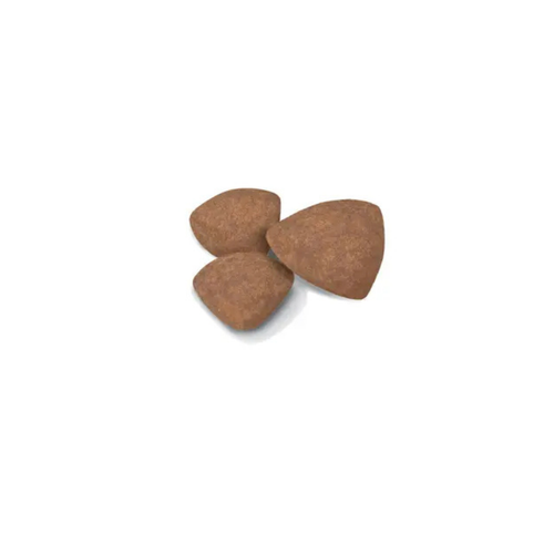 Visuel 2 du produit Croquettes Chien – Royal Canin Mini Junior - 2 kg