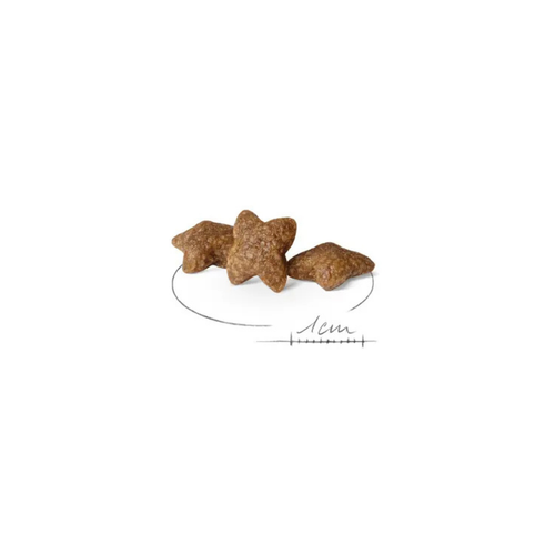 Visuel 2 du produit Croquettes Chien – Royal Canin Mini adulte – 4 kg