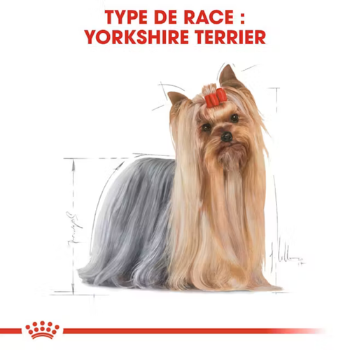 Visuel 4 du produit Croquettes Chien – Royal Canin Yorkshire Terrier Adulte – 1,5 kg
