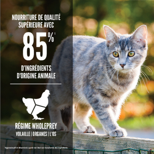 Visuel 3 du produit Croquettes Chat - Orijen Original Cat - 1,8kg