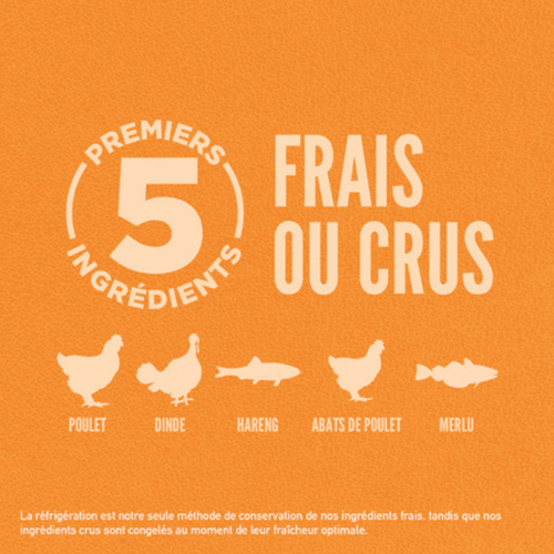 Visuel 4 du produit Croquettes Chat - Orijen Original Cat - 1,8kg
