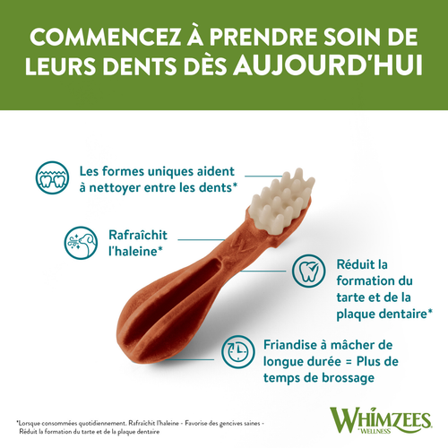 Visuel 4 du produit Friandises Chien - Whimzees Toothbrush L - 6 friandises