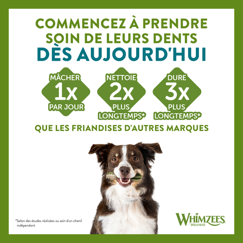 Visuel 6 du produit Friandises Chien - Whimzees Toothbrush L - 6 friandises
