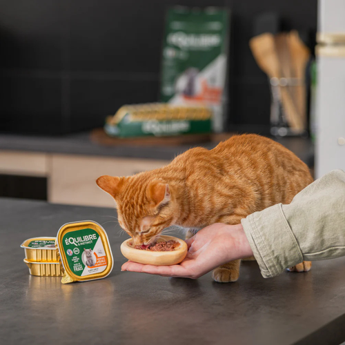 Visuel 5 du produit Boîtes Chat - Équilibre & Instinct Mousse chaton Volaille et carottes - 85 gr