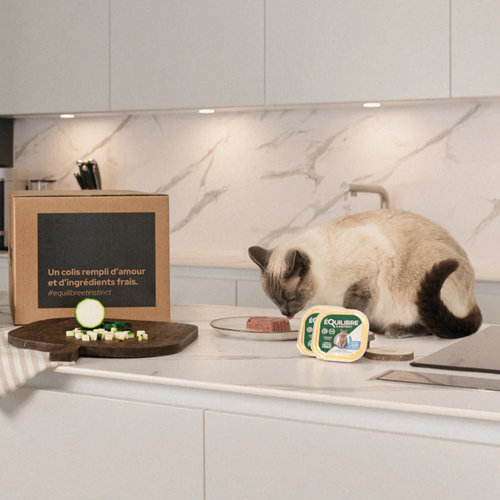Visuel 5 du produit Boîtes Chat - Équilibre & Instinct Terrine chat stérilisé Saumon - 85 gr