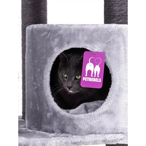 Visuel 5 du produit Arbre à Chat – Petrebels Charlotte 134 Gris – 59 x 56 x 134 cm