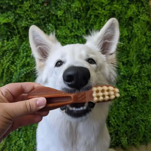 Visuel 9 du produit Friandises Chien - Whimzees Toothbrush L - 6 friandises