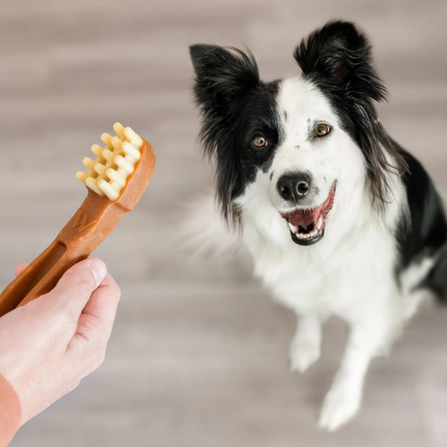 Visuel 8 du produit Friandises Chien - Whimzees Toothbrush L - 6 friandises