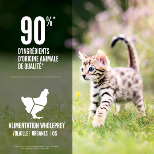 Visuel 3 du produit Croquettes Chat - Orijen Kitten – 340 gr