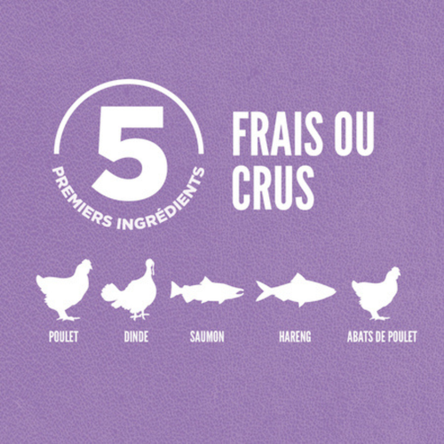 Visuel 4 du produit Croquettes Chat - Orijen Kitten – 340 gr