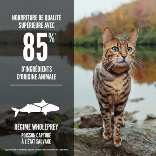 Visuel 3 du produit Croquettes Chat - Orijen cat Six Fish 5,4kg