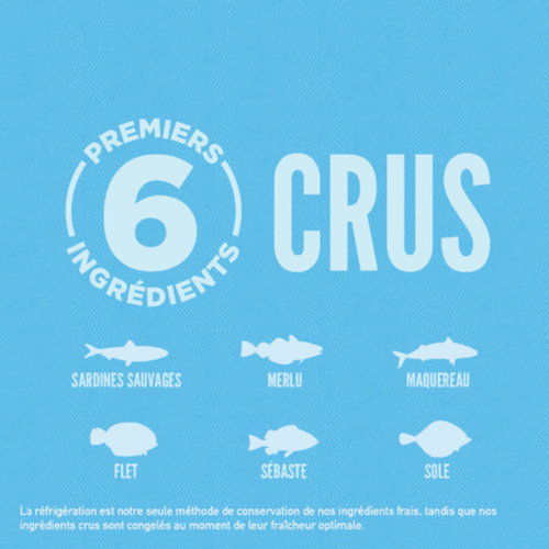 Visuel 4 du produit Croquettes Chat - Orijen cat Six Fish 5,4kg