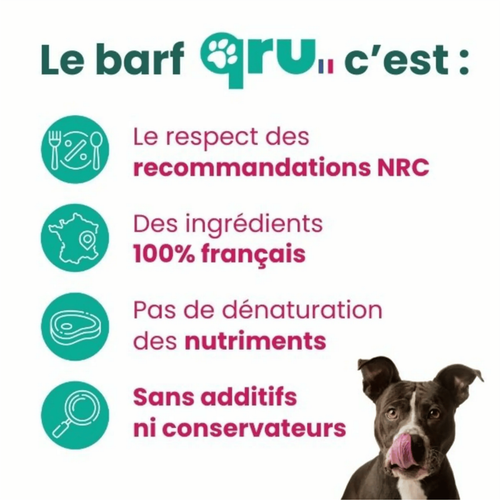 Visuel 5 du produit BARF Chien - Qru Simplement Bœuf et Dinde surgelé - 450 gr