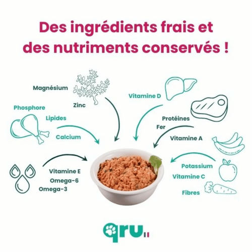 Visuel 4 du produit BARF Chien - Qru Simplement Bœuf et Dinde surgelé - 450 gr