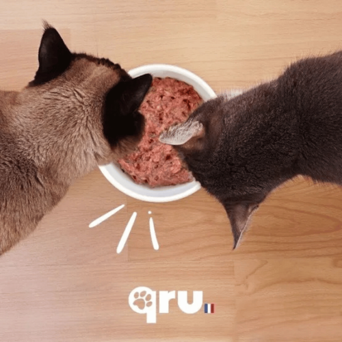 Visuel 8 du produit BARF Chat - Qru Simplement Lapin et Boeuf surgelé - 450 gr