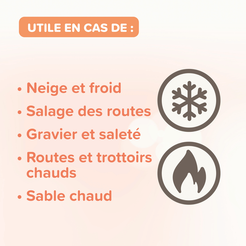 Visuel 5 du produit Soin Chien et chat – Beaphar Baume Coussinets Plantaires – 40 ml