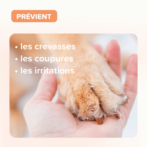 Visuel 6 du produit Soin Chien et chat – Beaphar Baume Coussinets Plantaires – 40 ml