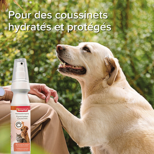 Visuel 8 du produit Soin Chien – Beaphar Pulvérisateur Coussinets – 150 ml