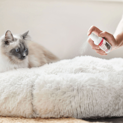 Visuel 4 du produit Spray calmant aux phéromones Catcomfort 30 ml