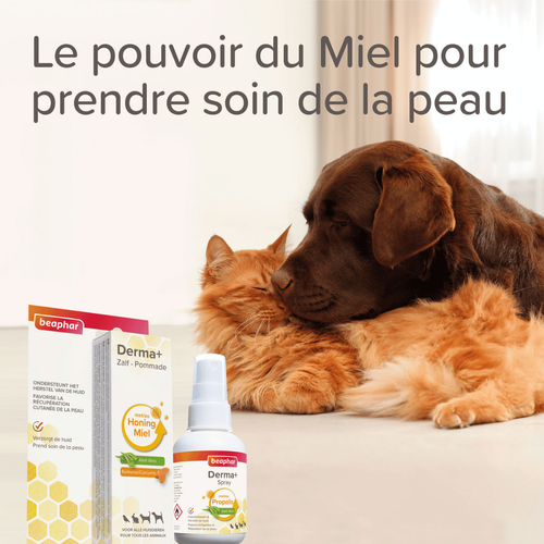Visuel 5 du produit Soin – Beaphar Pommade pour Plaies
