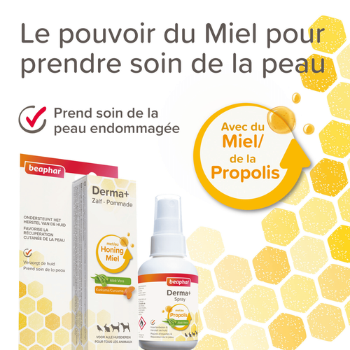 Visuel 6 du produit Soin – Beaphar Pommade pour Plaies