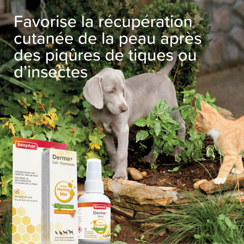 Visuel 4 du produit Soin – Beaphar Pommade pour Plaies