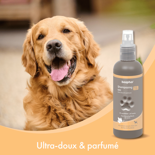 Visuel 4 du produit Hygiène Chien – Beaphar spray shampooing sec premium – 200 ml
